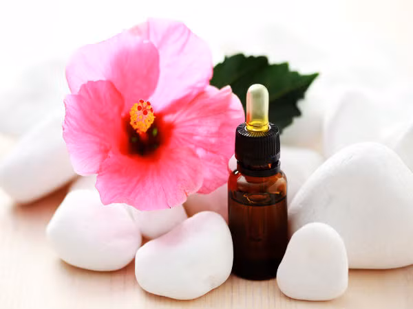 Hoa dâm bụt: Hoa dâm bụt giúp điều chỉnh sự cân bằng giữa các hóc-môn estrogen và progesterone trong cơ thể, do đó giúp chu kỳ hàng tháng trở nên đều đặn và cân bằng hơn.