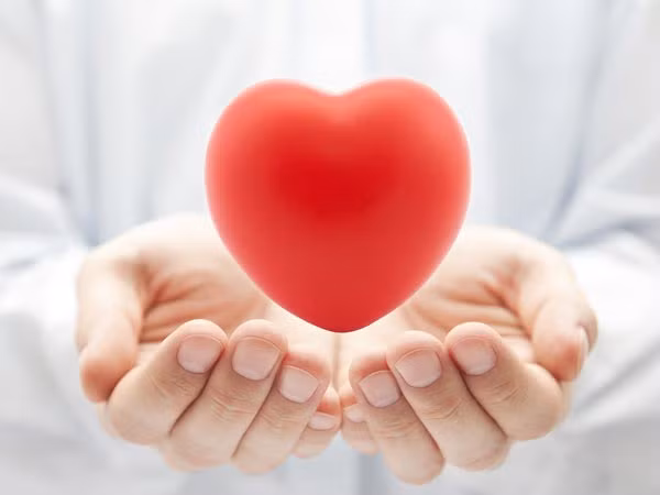  Ngăn ngừa bệnh tim mạch: Các chất chống oxy hóa trong nho có tác dụng làm loãng và ngăn ngừa cục máu đông. Bên cạnh đó, nó còn giúp ngăn chặn quá trình oxy hóa của các cholesterol xấu, khiến chúng không thể làm tổn thương các động mạch. 