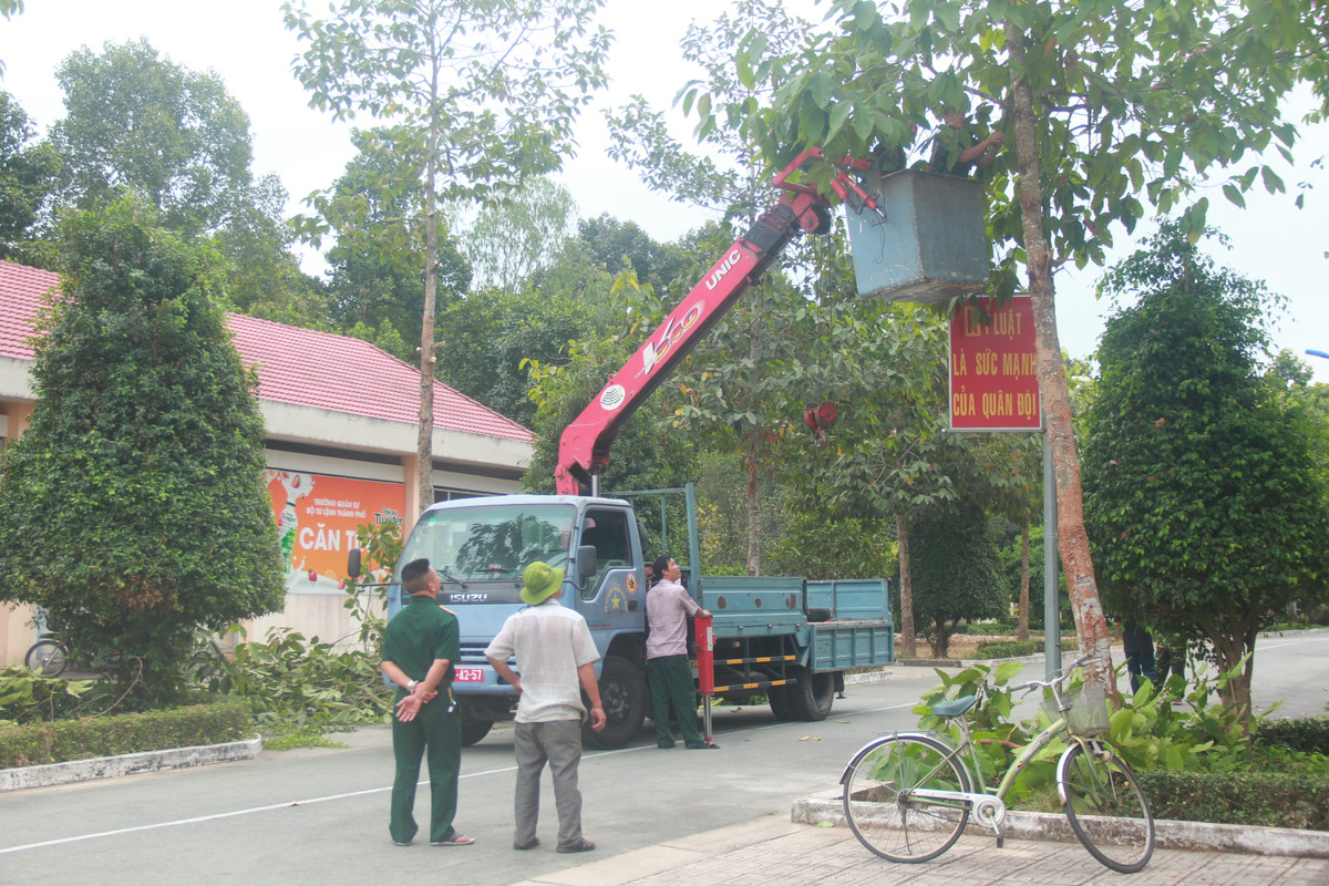 Các chiến sĩ của Trường quân sự TP đang dọn dẹp, cắt tỉa cây tại khu vực được cách ly làm bệnh viện dã chiến.