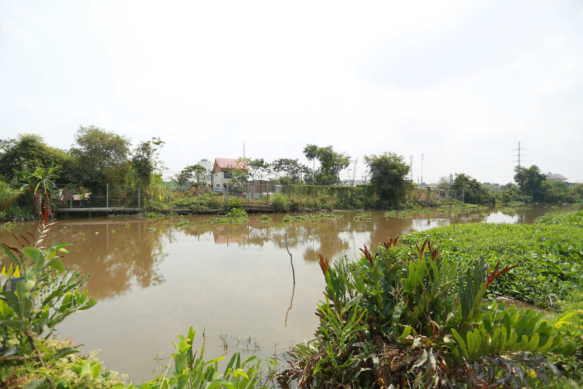 Một con kênh lớn ngăn cách khu nhà hoang với con đường đất chạy dọc phía sau hiện trường.