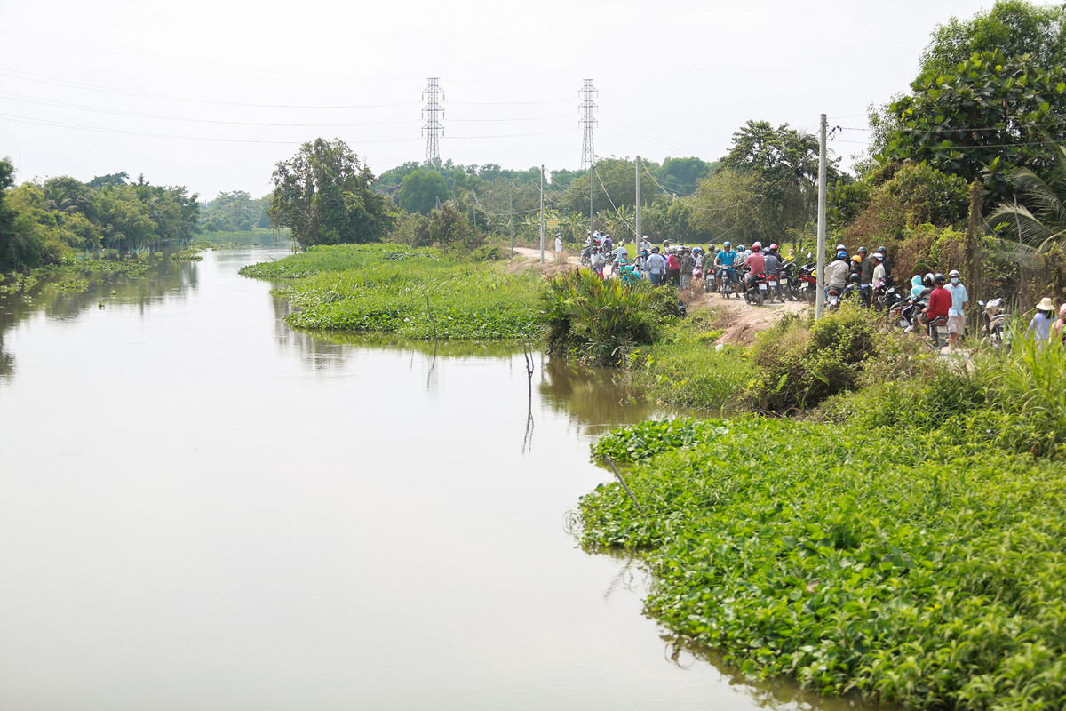 Rất đông người dân tập trung quan sát từ phía sau khu nhà hoàng.