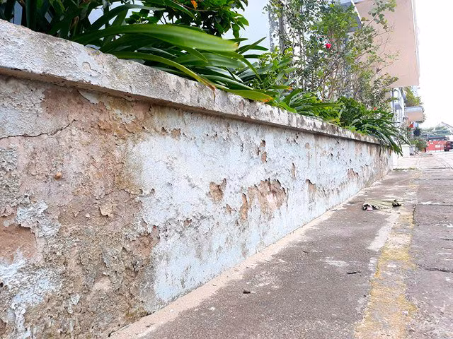 Tường chung cư nhiều khu vực bị bong tróc, ẩm mốc.