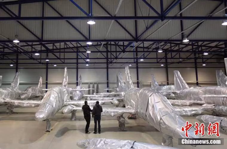 Nhiều khả năng, toàn bộ số máy bay L-159 này sẽ được bàn giao chỉ trong vài tháng tới cho Không quân Iraq sử dụng, bởi nhu cầu cấp thiết trong cuộc chiến chống IS. Các máy bay này sẽ được dùng để tấn công mục tiêu mặt đất quân IS, chi viện hỏa lực cho lực lượng mặt đất đồng minh tiến công giành lại các vùng, thành phố bị IS chiếm giữ nhiều tháng nay.