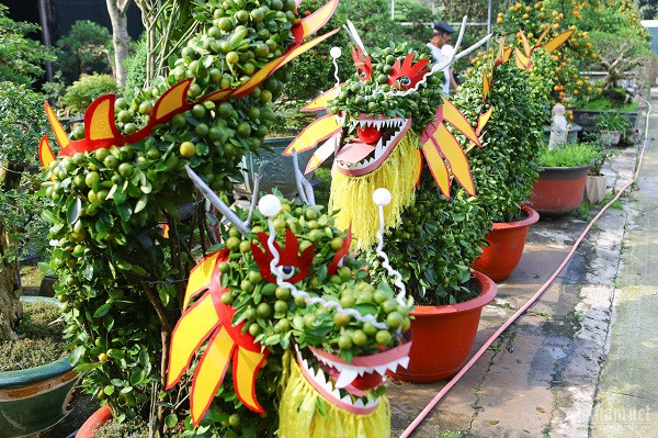 "Rồng cưỡi mây, đùa nước" và “Long Vân Thủy” là tên hai tác phẩm rồng lượn (nằm ngang) ông Xuân tạo hình từ 12 cây quất dài 3m, cao 1m. Sau công đoạn uốn nắn, để tạo hình quất giống rồng nhất, sản phẩm này được trang trí thêm vảy, râu và mắt để có hồn hơn.