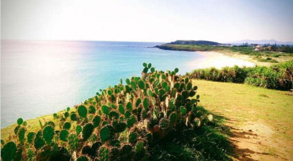 Phu Yen va nhung toa do check-in dep nao long-Hinh-2