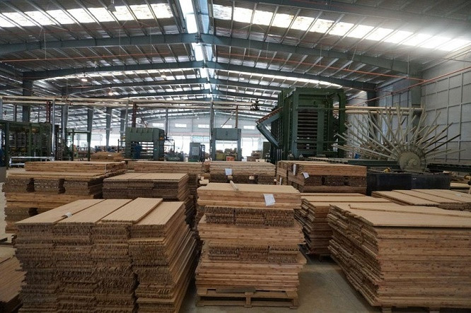 Công ty Đầu tư Sao Thái Dương bị phạt vì lỗi gì? Cong ty Dau tu Sao Thai Duong bi phat vi loi gi?