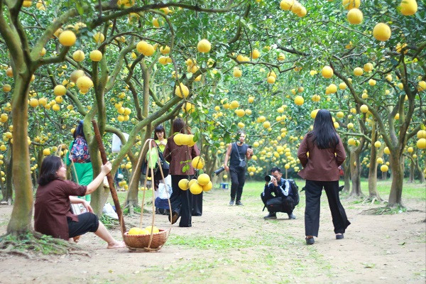 Rất nhiều thợ ảnh chuyên nghiệp có mặt tại đây để phục vụ du khách 