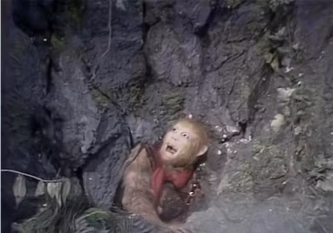 Tôn Ngộ Không đã từng bị giam giữ dưới Ngũ Hành Sơn suốt 500 năm do gây rối ở Thiên Cung, và chỉ khi gặp Quan Âm Bồ Tát, anh ta mới được giải thoát sau khi xin lỗi và nhờ chỉ dẫn.