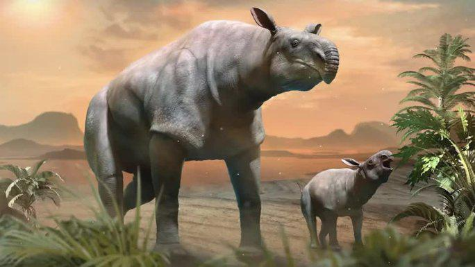 4. Paraceratherium: Loài tê giác khổng lồ này sống cách đây hơn 30 triệu năm, với khối lượng lên đến 30 tấn và chiều dài gần 8 mét. Paraceratherium ăn lá và cành cây, mặc dù không có sừng như tê giác hiện đại, chúng có răng hàm đặc biệt để giữ thức ăn.