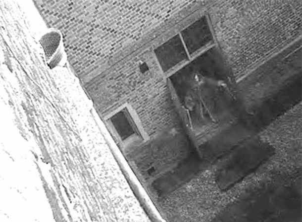 3. Bóng ma tòa án Hampton ở Anh: Một đoạn video CCTV ghi lại hình ảnh "Skeletor", được cho là hồn ma tại Hampton Court. Những hình ảnh ghi lại khoảnh khắc bí ẩn rùng rợn khi những cánh cửa mở ra mà không có ai, và nhiều tin đồn nói về "Quý bà Xám", một hồn ma nổi tiếng.