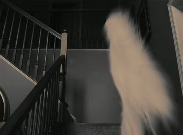 2. Quán rượu ma ám ở Sydney: Khách sạn Carlisle Castle ở Sydney ghi lại nhiều sự kiện kỳ quái. Những sự cố bao gồm chai rượu đắt tiền rơi xuống, bóng đen nhảy múa, nhiều người tin rằng đó có thể là hồn ma của người làm việc tại quán.