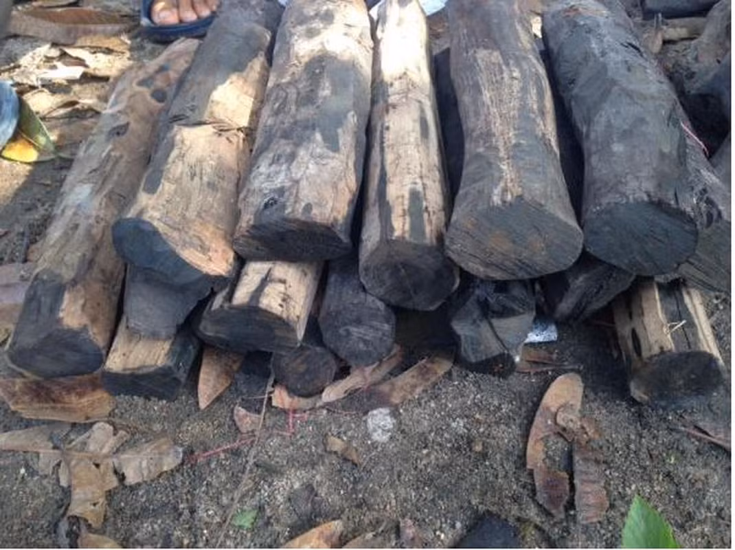 Mặc dù gỗ mun có giá trị cao, nhưng hiện nay việc khai thác gỗ mun từ tự nhiên đã bị cấm ở nhiều nơi, một số quốc gia đang nỗ lực trong việc trồng và bảo tồn loại cây này.