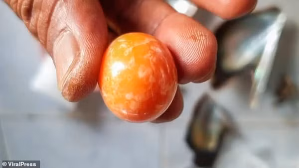 Không có màu trắng như ngọc trai thông thường, Melo Pearl có các màu từ cam nhạt đến nâu. Ngọc ốc Melo Pearls cho tới ngày nay chưa thể nuôi cấy như ngọc trai, nên số lượng ít và hiếm hơn ngọc trai rất nhiều.