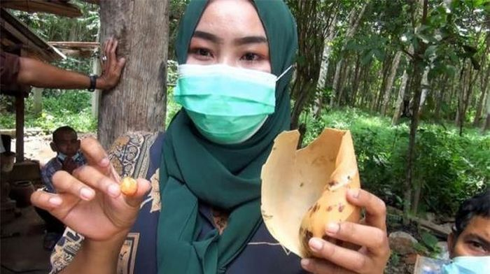 Viên ngọc quý mà Sifino Kasemson phát hiện có màu cam rực rỡ, nặng 1,8 gram, và có thể có giá trị hàng trăm nghìn USD.