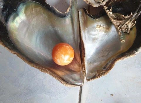 Về mặt kỹ thuật, ngọc Melo không phải là một loại ngọc đúng nghĩa nhưng cũng được xếp vào hàng ngọc quý.