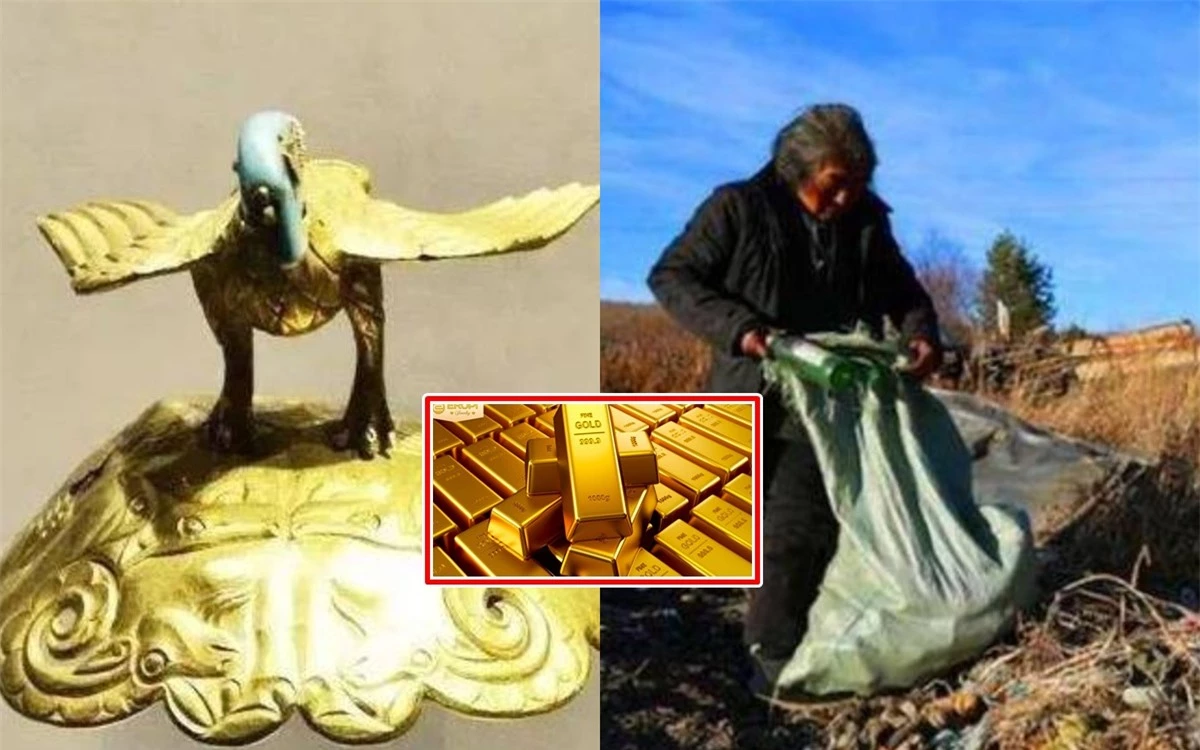 Ông lão, chỉ tìm kiếm kim loại để kiếm sống, đã không nhận ra giá trị thực sự của những cổ vật này.