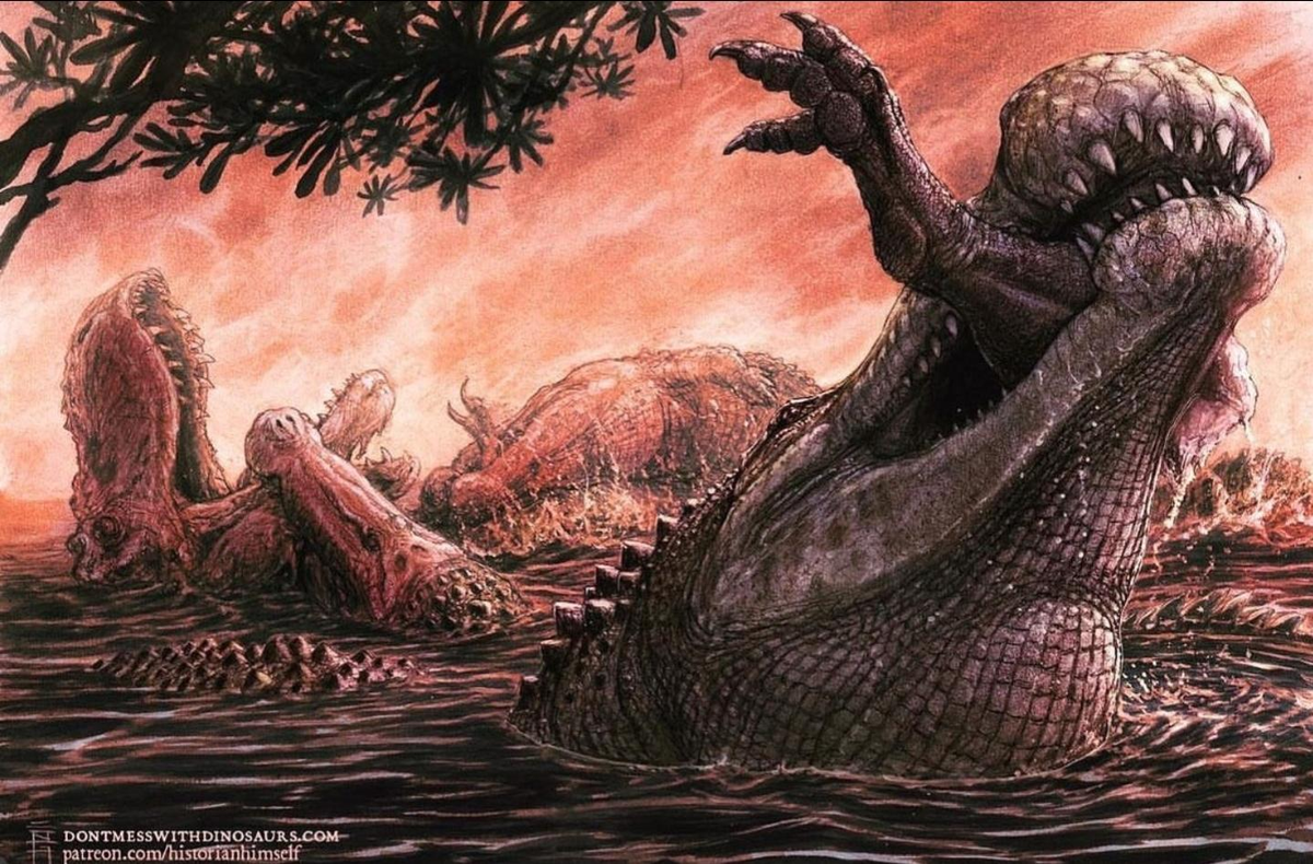 Với chiều dài có thể đạt 10m, chúng sống chủ yếu ở bờ biển phía đông Bắc Mỹ và săn mồi bằng cách chờ đợi ở trong nước.