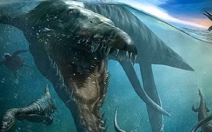 Chúng đi săn mồi theo đàn và có khả năng tấn công, ăn thịt nhiều loại động vật lớn.