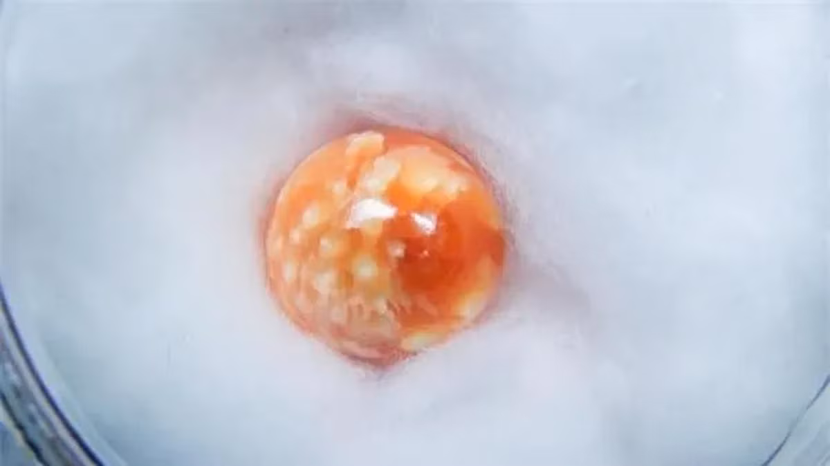 Viên ngọc quý mà Sifino Kasemson phát hiện có màu cam rực rỡ, nặng 1,8 gram, có thể có giá trị hàng trăm nghìn USD.