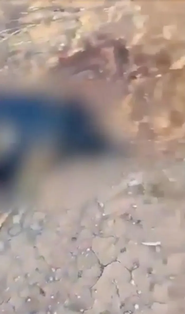 Các công nhân trong video làm việc tại dự án Đường sắt Adani ở miền Trung Queensland và tìm thấy xác lợn rừng và dấu chân kỳ lạ trong quá trình làm việc. Các nhân chứng còn báo cáo về những hiện tượng kỳ lạ khác trong dự án, bao gồm ánh sáng lập lòe, tiếng động lạ và những vị khách không rõ nguyên nhân trong trại.