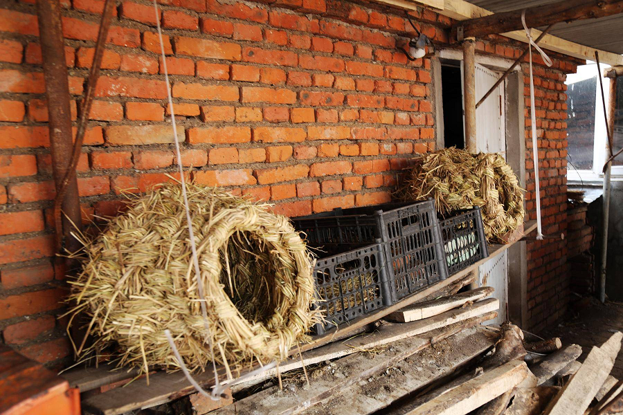 Nhờ công của người nông dân Tiền, tấm bia này đã được phục hồi và đưa vào bảo tàng để nghiên cứu và bảo quản.