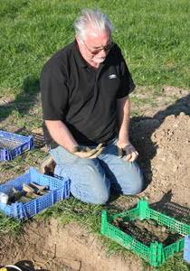 Kho báu bao gồm đồng xu của 21 vị hoàng đế và vợ của ba vị hoàng đế, bao gồm cả những đồng xu của Carausius, một nhân vật cầm quyền nổi tiếng cai trị nước Anh và Gaul phía bắc từ năm 286-293 SCN. Giá trị lịch sử của kho báu này rất lớn, dù giá trị về mặt tài chính cụ thể vẫn chưa rõ ràng.