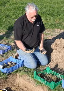 Kho báu bao gồm đồng xu của 21 vị hoàng đế và vợ của ba vị hoàng đế, bao gồm cả những đồng xu của Carausius, một nhân vật cầm quyền nổi tiếng cai trị nước Anh và Gaul phía bắc từ năm 286-293 SCN. Giá trị lịch sử của kho báu này rất lớn, dù giá trị về mặt tài chính cụ thể vẫn chưa rõ ràng.