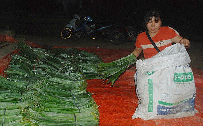 Trong năm 2022, doanh thu từ xuất khẩu lá tre của Việt Nam đạt 2 triệu USD (tương đương 49 tỷ đồng).