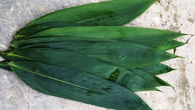 Đây là loại lá tre to, có tên gọi tre bát độ, được trồng chủ yếu ở các vùng cao như Yên Bái, Bắc Giang, Thanh Hóa, và Sóc Sơn - Hà Nội.