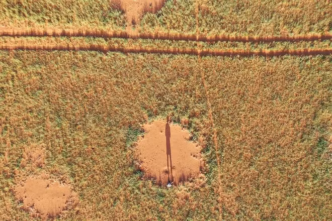 Giai ma nguon goc ve nhung “vong tron co tich” bi an tren the gioi-Hinh-3