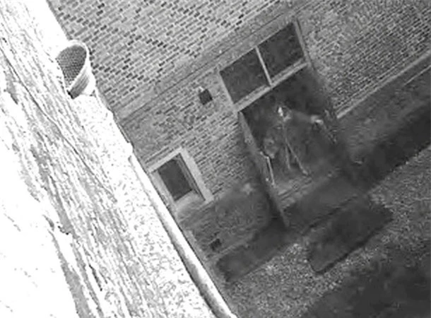 3. Bóng ma tòa án Hampton ở Anh: Một đoạn video CCTV ghi lại hình ảnh "Skeletor", được cho là hồn ma tại Hampton Court. Những hình ảnh ghi lại khoảnh khắc bí ẩn rùng rợn khi những cánh cửa mở ra mà không có ai, và nhiều tin đồn nói về "Quý bà Xám", một hồn ma nổi tiếng.