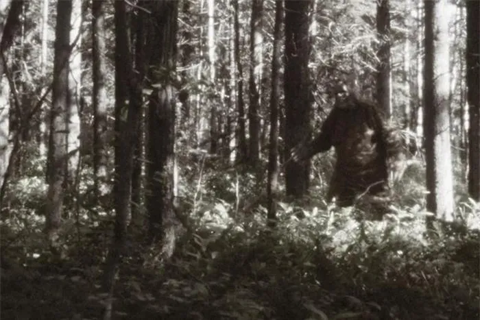 Từ những ngày đầu thập kỷ 1958, Bigfoot đã trở thành một huyền thoại đô thị ở Mỹ, được mô tả là sinh vật lông lá, dữ tợn và có mùi hôi thối.
