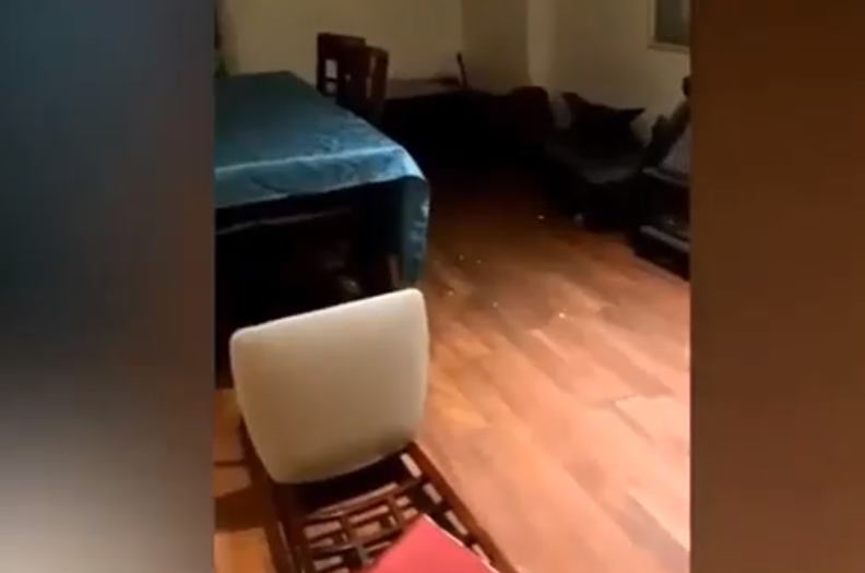 Các nhân viên cứu hộ đã đến để bắt con trăn. Cuối cùng con vật này đã được đặt vào bao tải và thả về tự nhiên.