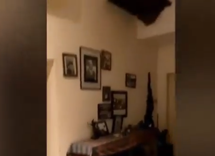 Mặc dù loài trăn này ít khi tấn công người nhưng vụ việc trên gây sửng sốt và lo lắng trong cộng đồng.