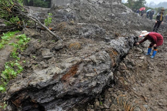 Chuyên gia thẩm định cho biết mẫu gỗ là cổ thụ quý, không bị mục nát sau khi chôn vùi dưới đất, sau khi đốt có tỏa ra một chút mùi thơm nhưng không rõ rệt và có khả năng chứa trầm hương.