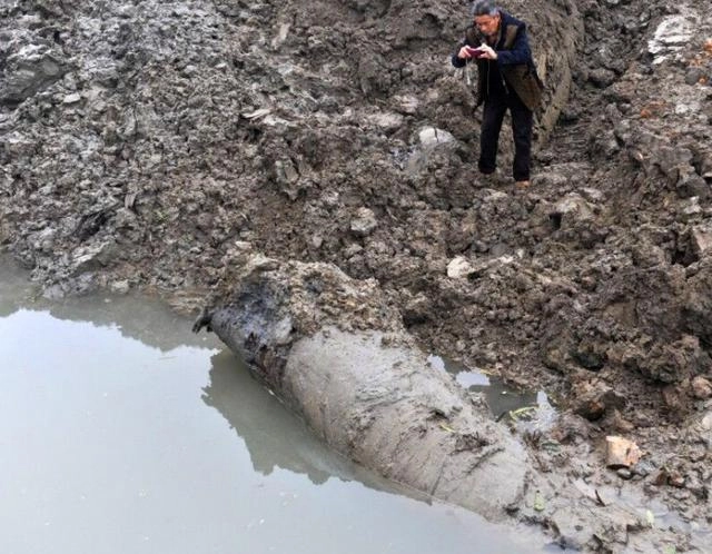 Tuy nhiên, cần sự xác định tại chỗ của các chuyên gia để khẳng định liệu chúng có phải là trầm hương hay không.