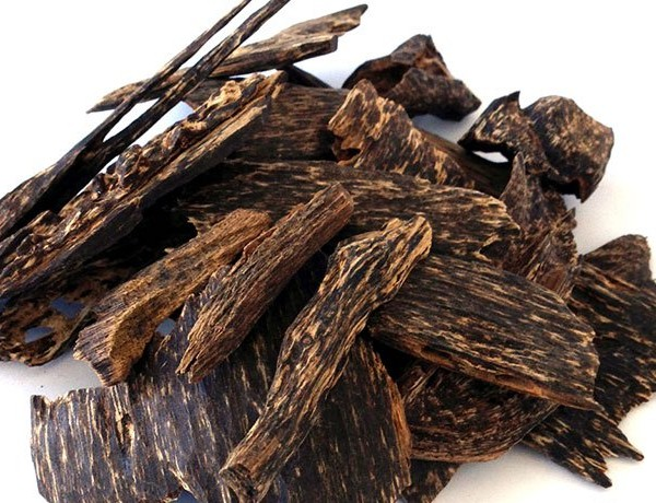 Trong tự nhiên, trầm hương là một loại gỗ quý hiếm. Sau khi thu hoạch, gỗ trầm hương thường được sử dụng làm hương liệu, tinh chế thành tinh dầu trầm hương với giá lên đến 80.000 USD/lít.