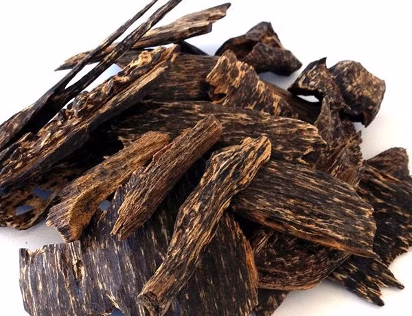 Trong tự nhiên, trầm hương là một loại gỗ quý hiếm. Sau khi thu hoạch, gỗ trầm hương thường được sử dụng làm hương liệu, tinh chế thành tinh dầu trầm hương với giá lên đến 80.000 USD/lít.