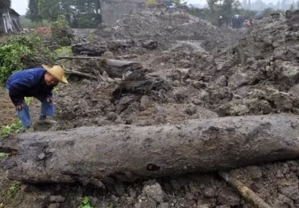 Kích thước của khúc gỗ là gần 8m và nặng gần 1.000kg. Ông Lưu đã gửi mẫu gỗ đến chuyên gia thẩm định và nhận định rằng chúng có giá trị lớn. Một số người đã mua mẫu gỗ tương tự với giá 10.000 NDT trước đó.