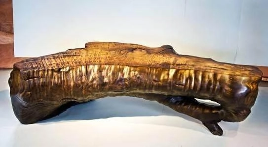 Những cây Kim Tơ Nam Mộc có "tuổi thọ" càng lớn thì chất lượng gỗ càng tốt. Tuy nhiên, số lượng loại cây này trong tự nhiên rất ít.