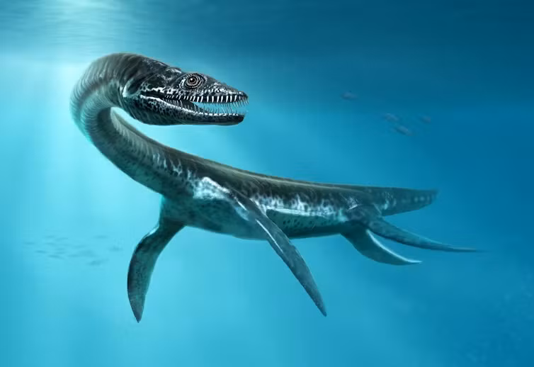 Plesiosaurs được biết đến là loài bò sát thời tiền sử sống ở vùng nước mặn, nhưng phát hiện mới này chỉ ra khả năng chúng có thể sống ở vùng nước ngọt.
