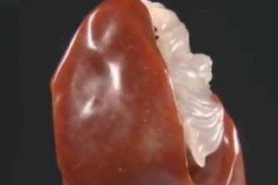 Ngọc Kim Ty còn được biết đến với tên gọi ngọc tơ vàng, là một trong những loại ngọc quý hiếm và độc đáo, tạo nên một phần của vẻ đẹp nghệ thuật và giá trị vô song trong thế giới ngọc lục bảo.