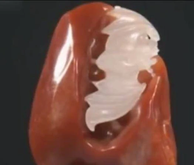 Chuyên gia thẩm định giải thích, khối đá phát sáng vàng do hiệu ứng kim sa từ hợp chất bên trong đá đỏ. Khối đá này có giá trị lớn vì sự hiếm có của màu đỏ đậm trong ngọc Kim Ty. Chuyên gia ước tính giá trị của nó là 600.000 NDT (hơn 2 tỷ đồng).