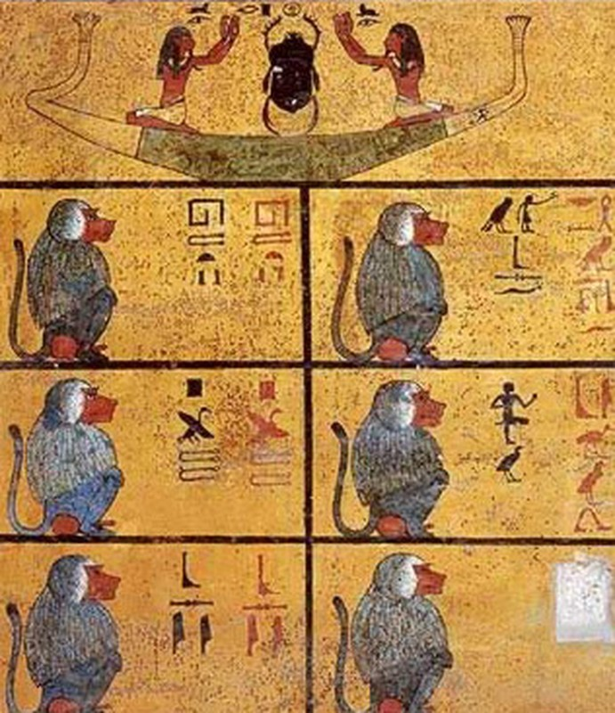 Loài khỉ trong văn hóa Ai Cập cổ đại, đặc biệt là khỉ đầu chó đóng vai trò quan trọng trong đời sống văn hóa tinh thần của người dân.