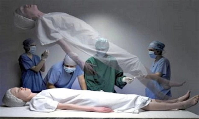 Nhóm chuyên gia từ Đại học Southampton cũng đã đưa ra quan điểm tương tự, cho rằng linh hồn con người thực sự tồn tại.