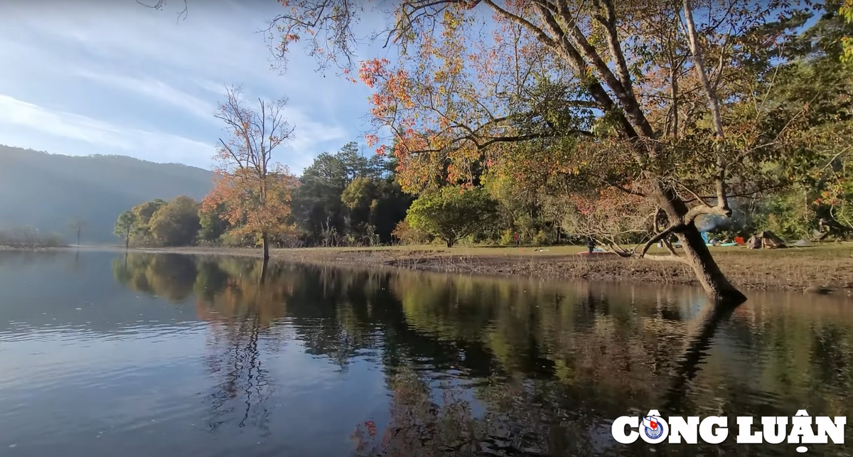 Mua la do day an tuong o xu D’ran (Lam Dong)
