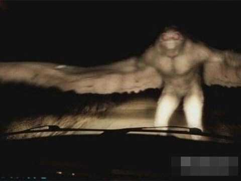 Trong lịch sử và truyền thuyết, Mothman xuất hiện trước nhiều sự kiện đen tối. Năm 1966, ở Tây Virginia, Mỹ, nhân chứng mô tả Mothman như một sinh vật lớn, có cánh và răng sắc nhọn.