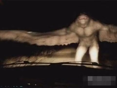 Trong lịch sử và truyền thuyết, Mothman xuất hiện trước nhiều sự kiện đen tối. Năm 1966, ở Tây Virginia, Mỹ, nhân chứng mô tả Mothman như một sinh vật lớn, có cánh và răng sắc nhọn.