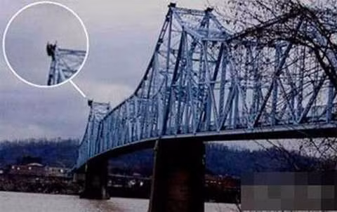 Một số nạn nhân sống sót cho biết, họ đã thấy Mothman xuất hiện trước khi thảm kịch xảy ra, đồng hành với quan niệm rằng sự xuất hiện của Mothman là điềm báo xấu. Tuy nhiên, những lời khai của nhân chứng về Mothman thường mơ hồ và không thuyết phục.