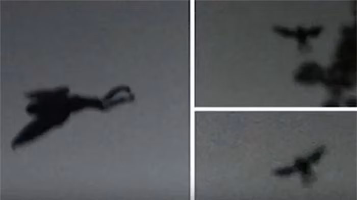 Có người tin rằng đây chỉ là trò đùa của nhóm công nhân dùng đèn pin và bóng bay khí heli tạo nên hình ảnh Mothman. Cũng có giả thuyết rằng Mothman chỉ là máy bay tầm thấp.